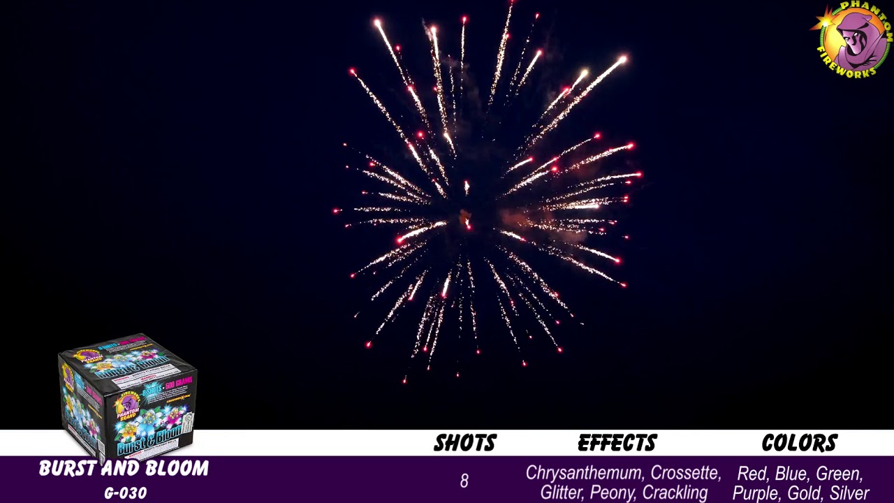 G 030 Burst and Bloom