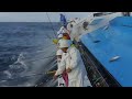 Skipjack Tuna Fishing Boat DEEP IN SEA - Tuna Fishing Japan