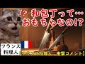 【海外の反応】フランス人シェフが和包丁をディスった結果…世界が驚いた展開に!?猫ミームで紹介。