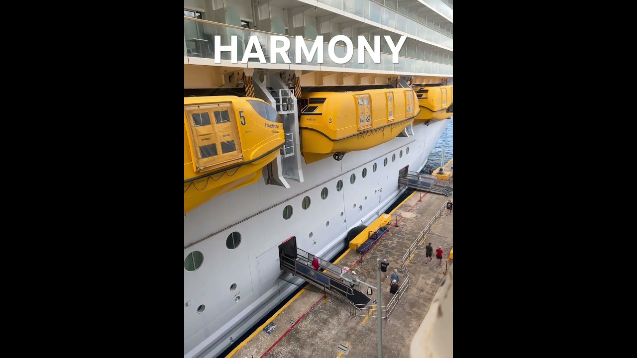 HARMONY OF THE SEAS 2026 #viralvideo #travel
