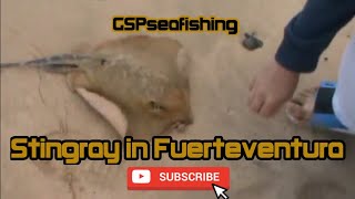 Sea Fishing | Fuerteventura, The Canaries | Catching a Small Stingray