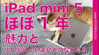もうすぐ使用1年のiPad mini 5・沢山の魅力とやや弱いとこを再レビュー！持ち歩きiPad最強機種