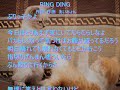 『RING DING』作詞:作曲あいみょん 歌詞あり