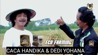 CACA HANDIKA & DEDI YOHANA || ECO FARMING