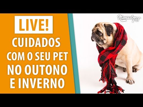 Vídeo: Dando isto ao seu diário de Yorkie poderia ajudar a aliviar alergias dolorosas da pele