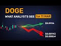 What’s the expert consensus for DOGE tomorrow?