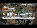 【埼玉園芸店巡り】今、ホームセンターの植物コーナーが熱い!アガベ、サボテン、観葉植物など豊富に揃える埼玉県三郷市スーパービバホームに潜入!