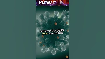 10 Unknown Facts About DNA That Could Rewrite What We Know About Life #shorts