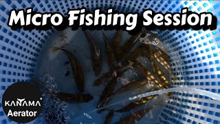 Micro fishing session / KANAMA aerator