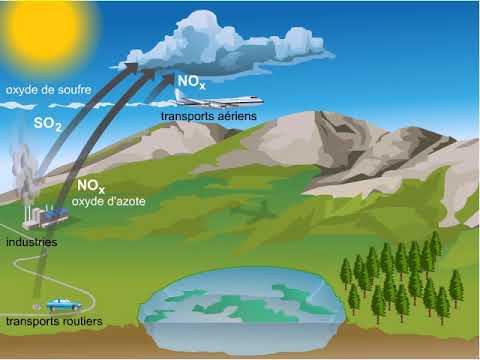 Vidéo: Précipitations acides : les causes de la formation