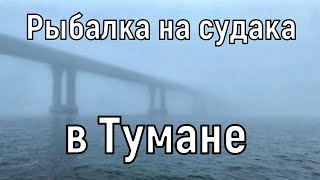 Рыбалка на судака в тумане. Река Кама, Сорочьи Горы.