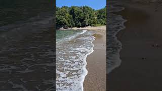 Müslüm Gürses Zalim