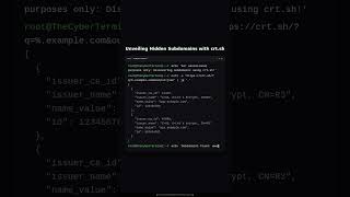 Finding Hidden Subdomains using Certificate Transparency and crt.sh