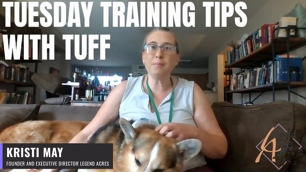 Tuesday Training Tips with Tuff | Accessible Online Dog Training with Subtitles