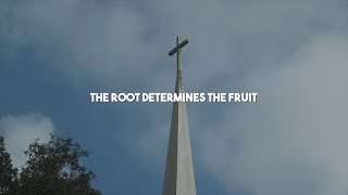 The Root Determines the Fruit