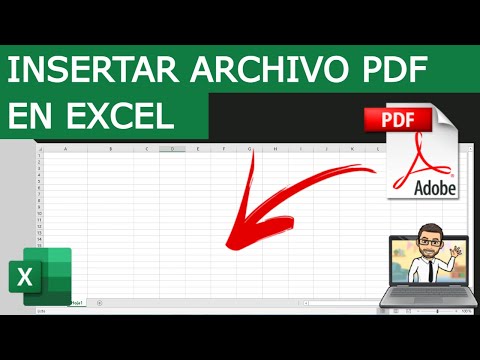 Video: ¿Puedes poner un PDF en Excel?