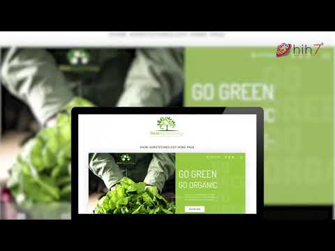 Web Design Key Features to Your Business Success Online - video from Hih7