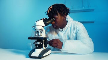 Microscope: Unveiling the Invisible World