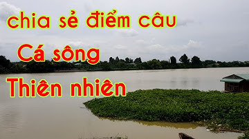No.14 Câu cá sông Bạch Đằng  Tân Uyên