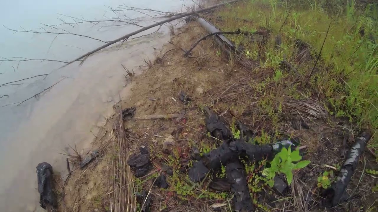 香川県坂出市タケノコ掘り行方不明事件現場