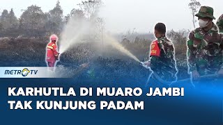 Sudah Hampir Sepekan Terjadi Karhutla di Muaro Jambi