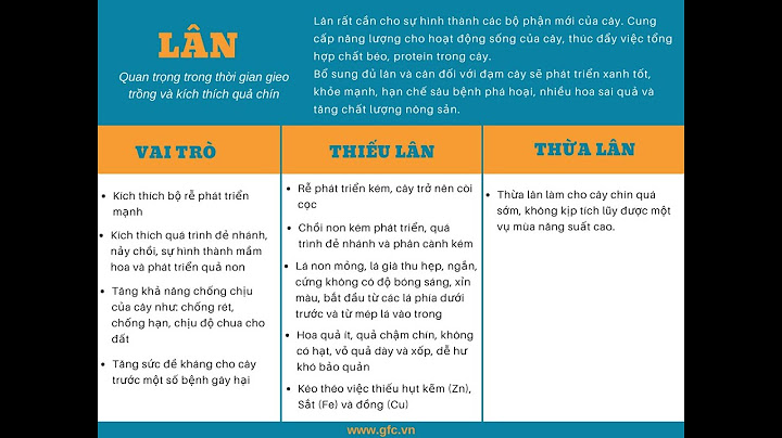 Thế nào là nguyên tố đa lượng vi lượng năm 2024