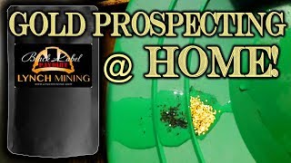 Download Gold Prospecting At Home #1 - Lynch Mining - Black Label Paydirt Video MP3 Gold Prospecting At Home #1 - Lynch Mining - Black Label Paydirt