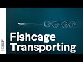 Transporting four fish cages across myre