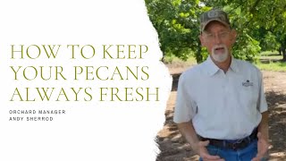 How To Keep Your Pecans Always Fresh