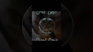Chipi Chipi (Phonk Remix) Полная Версия В Комментариях