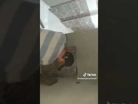 بليط محترف لوز اللوز شغل نظيف ومرتب ومضمون شير يااصحاب ومتابعة ولايك لفيديوهاتي وحركة الاكسبلور