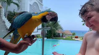 You’ve Never Seen Cozumel Like This | The Ultimate Private Villa Experience