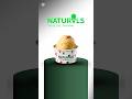 How Naturals Ice Cream Built a ₹300+ Crore Brand Using Real Fruits