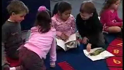 Literacy Instruction Videos - Beginning Readers