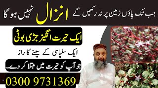 Apni Marzi Ki Timing 30 Mint Ya Ghanta 'OMG' - Hakeem Habib Ullah New Video 2022 Resimi