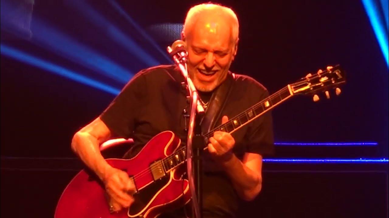 Peter Frampton Live 2023 🡆 Lines on My Face 🡄 Nov 15 ⬘ Sugar Land, TX