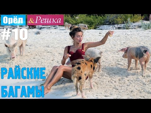 Видео: #10 Райские Багамы. Орёл и Решка. Рай и Ад