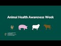 Minister McConalogue introduction to Animal Health Awareness Week 2020