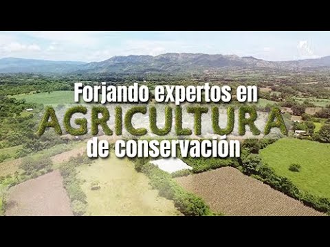 Forjando expertos en agricultura de conservación (2024)