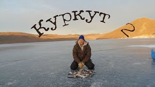 Куркут 2 Куркут 2