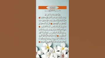 سورة يوسف بصوت القارئ الشيخ سعد الغامدي، القرآن الكريم راحة نفسية و سكينة #سعد الغامدي #قرآن
