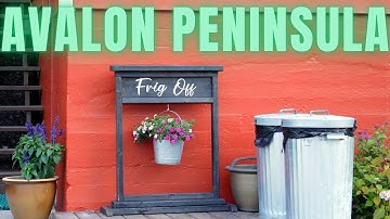 Must See Newfoundland - 