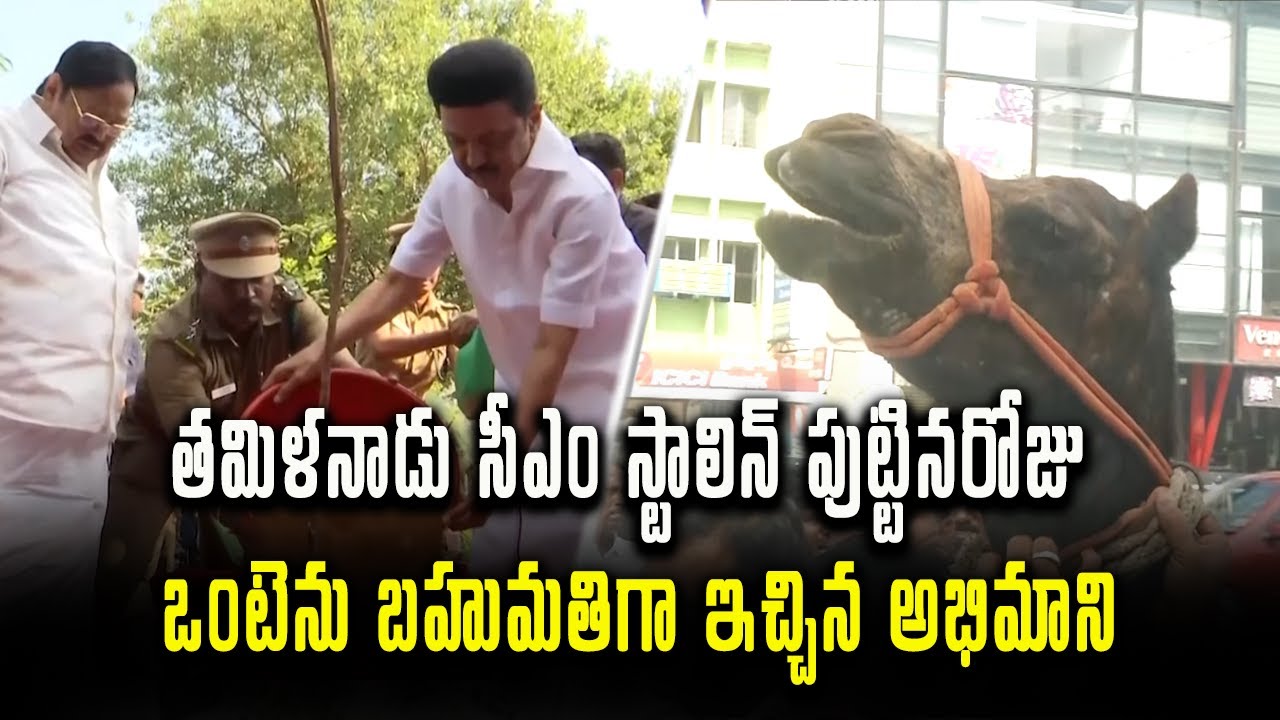 A Fan Gifted CAMEL to Tamil Nadu CM Stalin | Birthday Gift | Samayam ...