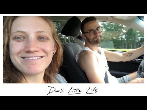 Skout - Dumb Little Life (Lyric Video)