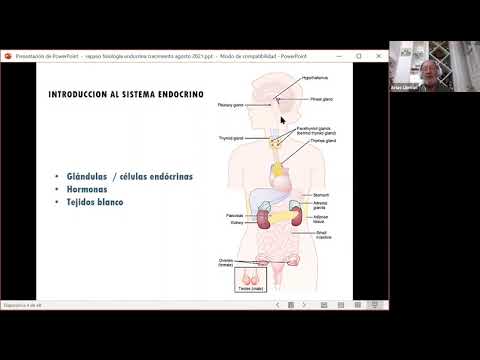 Clase de repaso Crecimiento y Desarrollo - Sistema Endocrino