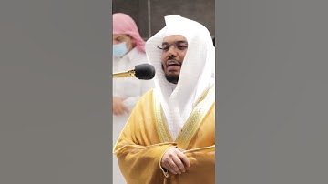 قال يا نوح إنه ليس من أهلك ~ تلاوة بتحبير خاشع للشيخ ياسر الدوسري - صلاة الفجر 23 صفر 1442هـ