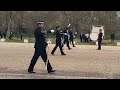 Excitement Builds as Rehearsals for the King&#39;s Birthday Parade Begin!