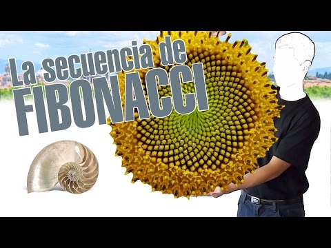 La secuencia de Fibonacci, en 3 minutos. www. explainers.tv