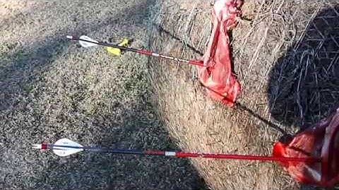 G5 Striker and NAP Killzone vs Deer Shoulder