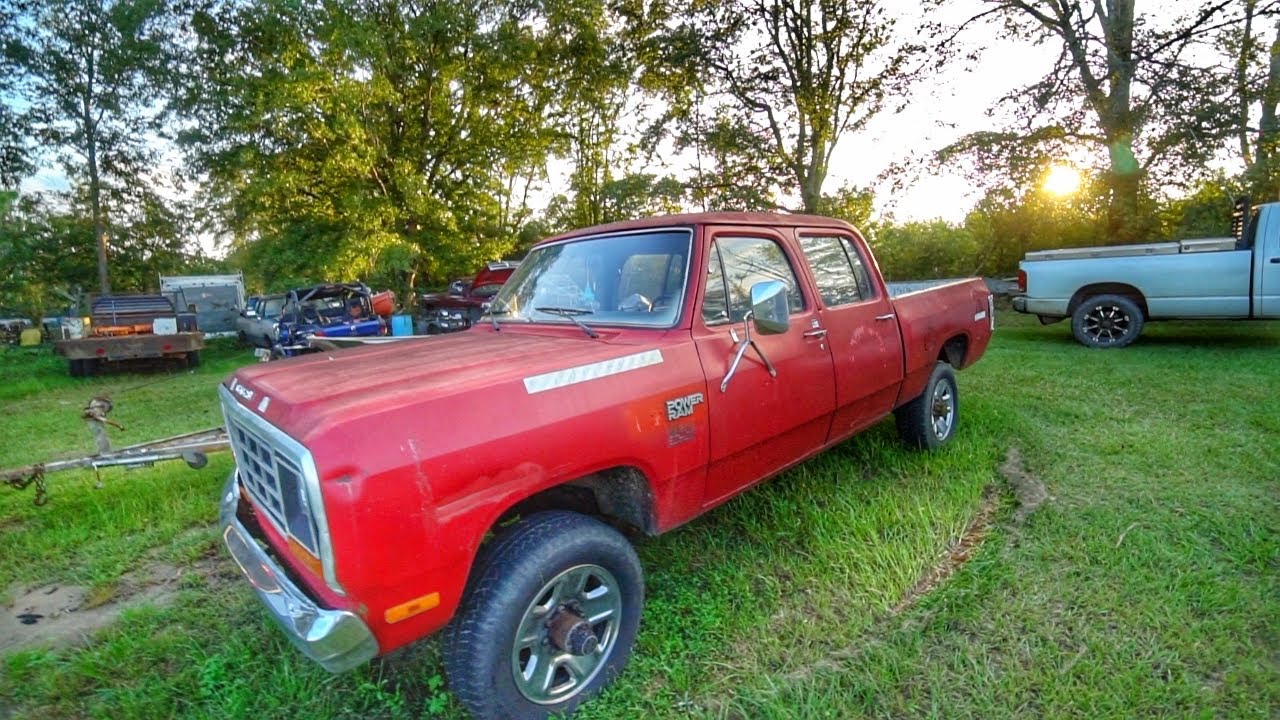 Which Cummins Would You Take? Cummins Owner's Dream BACKYARD! INSANE